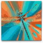  Festés számok szerint - Szitakötő türkiz és narancs árnyalatokban Méret: 50x50cm, Keretezés: Műanyagtáblával