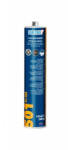 DINITROL 501 FC-HM Adeziv Parbriz 310ML