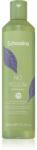Echosline No Yellow Shampoo sampon sárga tónusok ellen 300 ml