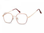Berkeley ochelari protecție calculator 911F (C10N SO 911F 53) Rama ochelari