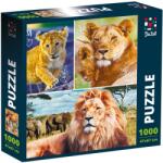 De. tail Puzzle Lion family, 47x67 cm, 1000 piese De. tail DT1000-01 Puzzle