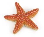Universul acvatic Papo Figurina Stea De Mare (Papo56050) - ookee Figurina