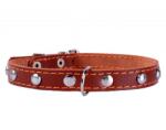 COLLAR Zgardă neagră decorată - 27 - 35cm, 14mm - maro