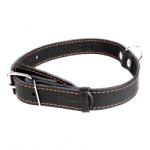COLLAR Zgardă COLLAR, din piele neagră, pentru câini 32 - 40 cm, 20 mm