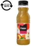 Cappy Gyümölcslé CAPPY Őszibarack mix 50%-os 0, 33L DRS (989010) - fotoland