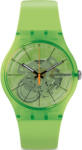 Swatch SUOG118 Ceas