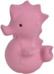 Tikiri Ocean Buddies jucărie pentru dentiție cu zornăitoare Sea Horse 1 buc