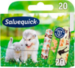  Tencuieli Salvequick, Animal Planet, 20 bucăți
