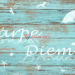 d-c-home Élj a mának (Carpe Diem) Tányéralátét (29 cm x 44 cm ) (230-2517)