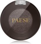 PAESE Eyegasm Eyeshadow farduri de ochi de lungă durată culoare 15 Stone 1, 5 g