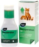  Viyo Viyo Recuperation Cat, 150 ml