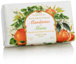 Saponificio Artigianale Fiorentino SA Fiorentino Természetes szilárd szappan Mandarin és menta 250 g