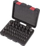 Welzh Werkzeug 1165-WW 1/4", 3/8", 1/2"-os Torx külső/belső készlet, 52 részes (1165-WW) - dwdszerszam