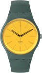Swatch SO29G103 Ceas
