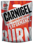 EXTRIFIT Carnigel 25x60 g