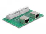 Delock RJ45 2 db. anya - 2 db. Terminal block nyomógombbal DIN sínhez (66994)