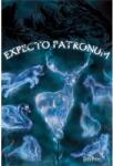  Harry Potter poszter - Patronus 61 x 91 cm