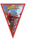 GoDan Ghirlanda petrecere din carton cu 9 stegulete model Spiderman 2.3M GD077 Ghirlande petrecere (GD077)