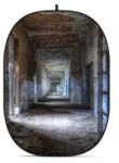 GODOX Collapsible Backdrop CBA-CA0002 (CBA-CA0002) - bluechip