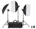 Godox MS300V D Trio Studio Flash Kit