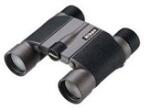 Nikon 10x25 HG L DCF (BAA231AA)