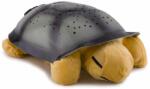 Cloud b Twilight Turtle