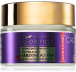 Bielenda Calcium + Q10 Concentrated radically rebuilding anti-wrinkle cream for day 60+ стягащ дневен крем против бръчки 50ml