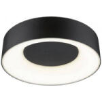 Paulmann (71096) Casca LED-es mennyezeti lámpa LED 16 W Fekete (matt)