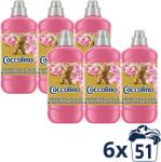 Coccolino Honeysuckle & Sandalwood 6 × 1275 ml