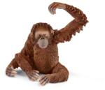 Schleich Schleich, Wild Life, Orangutan femela, figurina, 14775 Figurina