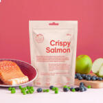Buddy Crispy Salmon - ropogós keksz lazac, áfonya 150g (FP-111300)