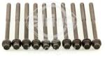 ELRING Set surub, chiulasa ELRING 728.110 (728.110)