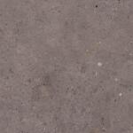 Pastorelli Padló Pastorelli Biophilic dark grey 60x60 cm matt P009497 (P009497)