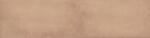 Ribesalbes Burkolat Ribesalbes Earth Rosebud 7, 5X30 cm matt EARTH2917 (PT02917)