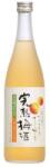 Nihonsakari Kanjuku Umeshu Nihonshu Blend [0, 72L|10%]