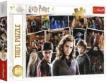 Trefl Harry Potter és barátai 160 db-os (15418)