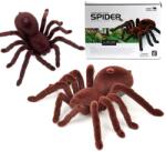  Távirányítós tarantula pók (KX9735)