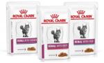 Royal Canin Renal Feline Mix de arome 36 x 85 g