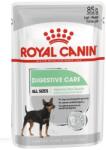 Royal Canin CCN Digestive Care pateu pentru câini adulți cu tract digestiv sensibil 24 x 85 g