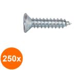 Schaefer-Peters Set 250 x Surub Cap Inecat Pentru Tabla 7982 Inox A2-4.2 X 22 (COR-250x798224222S)