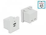 Delock Easy 45 USB töltő port modul 1 x A-típusú és 1 x USB Type-C csatlakozó felülettel (81313)