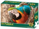 LAMPS Puzzle 3D Papagáj 100 darab