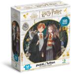 dodo Puzzle Harry Potter - Hermione si Ronald ( 300 piese) Puzzle