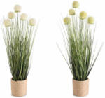 Decorer Set 2 plante artificiale in ghiveci 11x61 cm (A54.46.80)