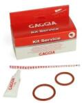 Gaggia - Kit service grup automat