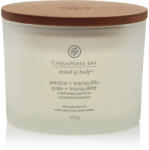 Chesapeake Bay Peace & Tranquility 312 g