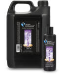 Groom Professional Christmas Sugar Plum Pie Sampon 4000ml (GP-849100)