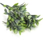  Mimóza csokor világoszöld