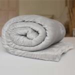 Jerry Fabrics Pătură din microfibră cu lână sintetică - Deschisă gri | 150 x 200 cm (SHERPA-BLANKET-LIGHTGR) Patura