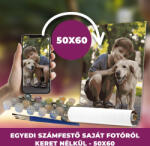 Festőleszek.hu Számfestő készlet saját fotóról 50x60 cm-es méretben keret nélkül